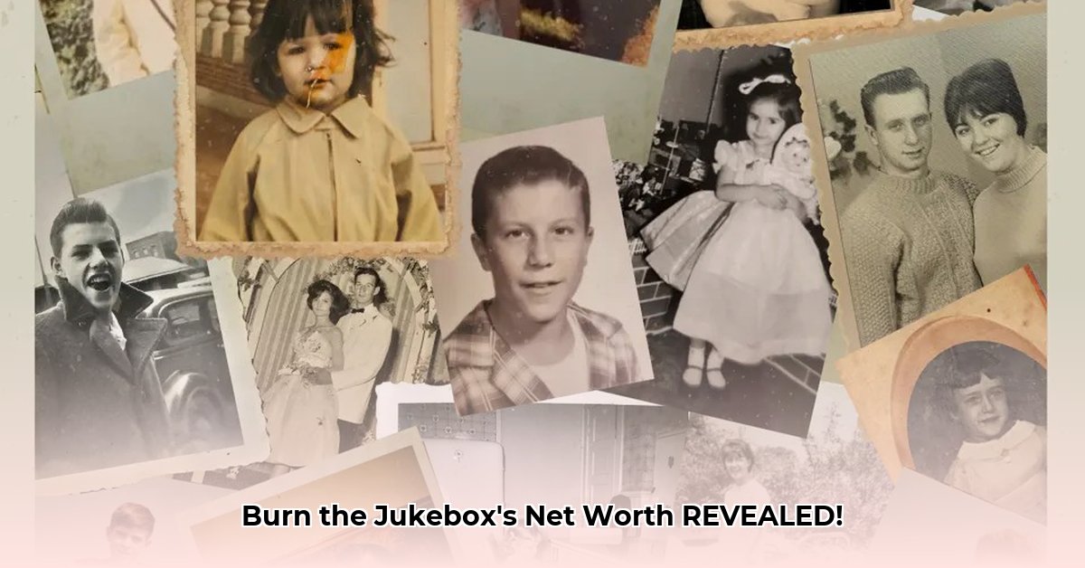 burn-the-jukebox-net-worth